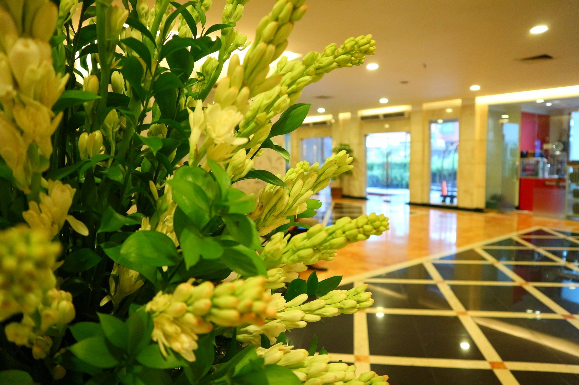 Horison Arcadia Mangga Dua Hotel Jakarta Eksteriør billede